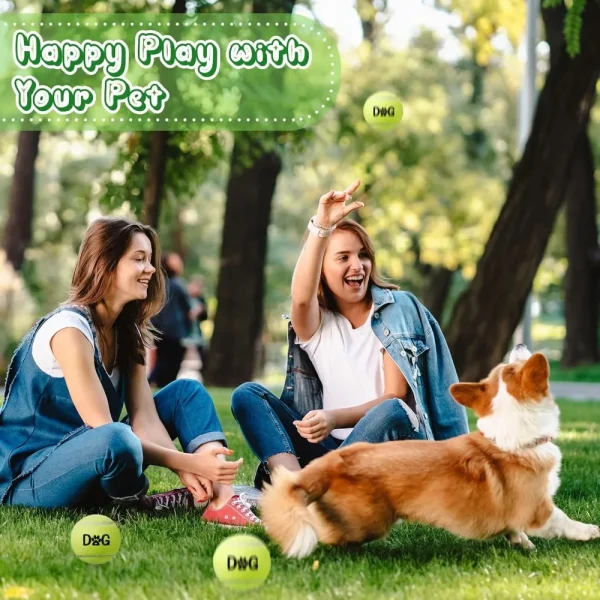 40 Interactive tennis  balls with case
