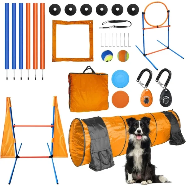 Agility Training Equipment Set for dogs