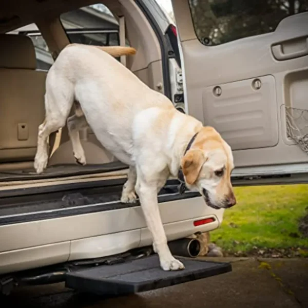 Pet Ramp Step Helps Dogs